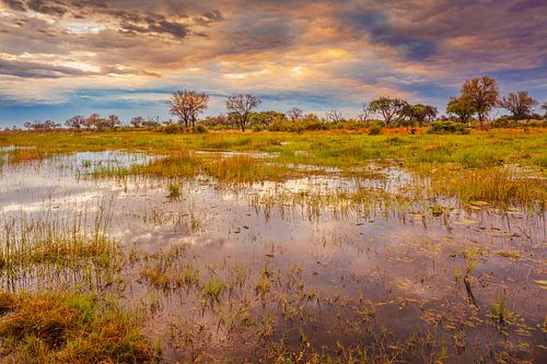 Zonsopkomst in de Okavango delta, Botswana