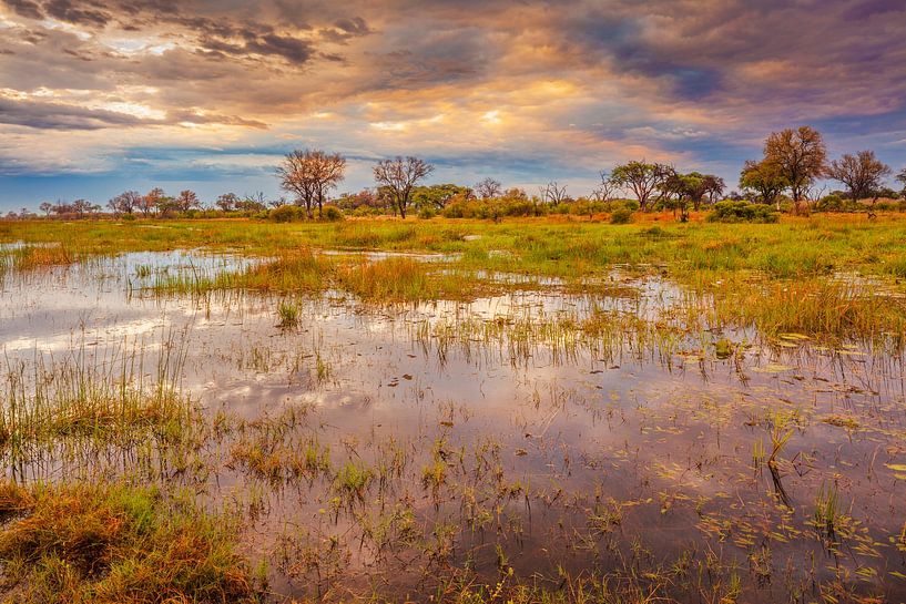 Sunrise in the Okavango delta, Botswana by Chris Stenger