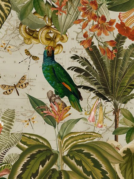 Bunte nostalgische exotische Papagei in einem tropischen Dschungel 2 von Floral Abstractions