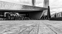 Rotterdam Centraal Station