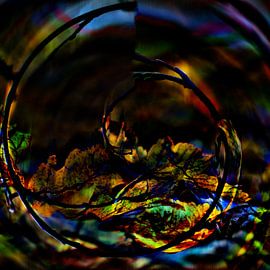 NATUR : FARBENFROHE NATUR von Photoart-Naegele