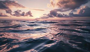 im Meer