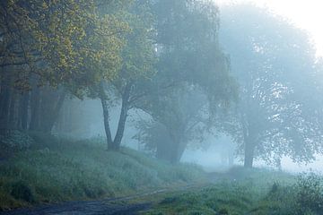 Matin brumeux Drunen sur Zwoele Plaatjes