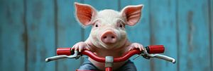 Ferkel auf einem roten Kinderfahrrad mit blauem Hintergrund