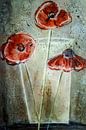 Rode papavers in vaas - abstract van Christine Nöhmeier thumbnail