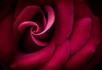 Swirl