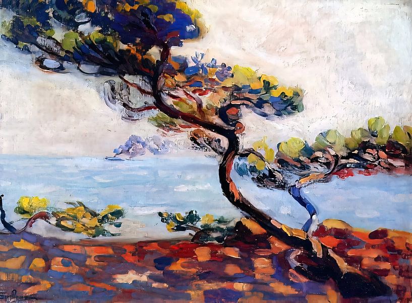 Dans le Midi - Armand Guillaumin van Accessible Art