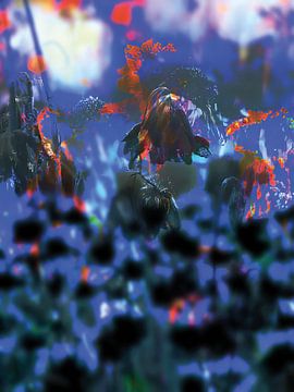 The Fields XXVIII by Zand