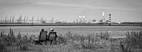 Siteseeing Hoek van Holland