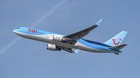 Opgestegen TUI Boeing 767-300. van Jaap van den Berg thumbnail