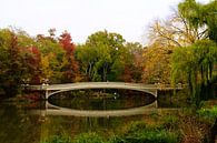 Bow bridge in New York City by Gert-Jan Siesling thumbnail