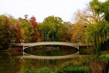 Bow bridge in New York City by Gert-Jan Siesling