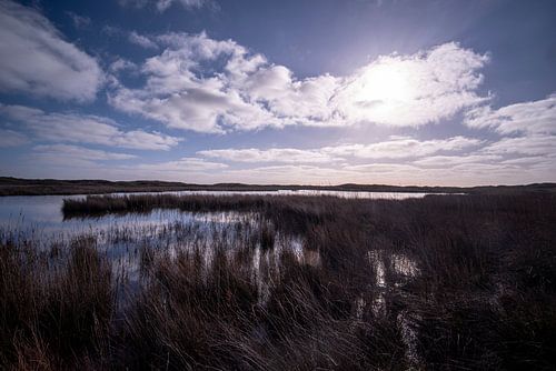 Sumpf in Texel - Dünen in der Sonne