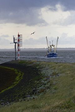 Wadden Sea with fishing vessel from port head Lauwersoog by BSNF