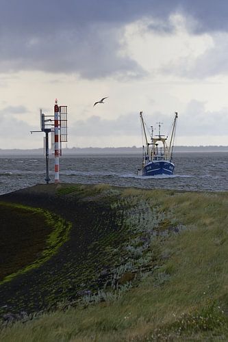 Waddenzee met visserschip vanaf havenkop Lauwersoog