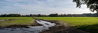 Groen landbouwlandschap na vele regen
