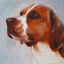 Portret hond Casa. van SydWyn Art thumbnail
