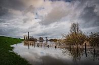 IJsselstroom Zutphen van Arnold van Rooij thumbnail