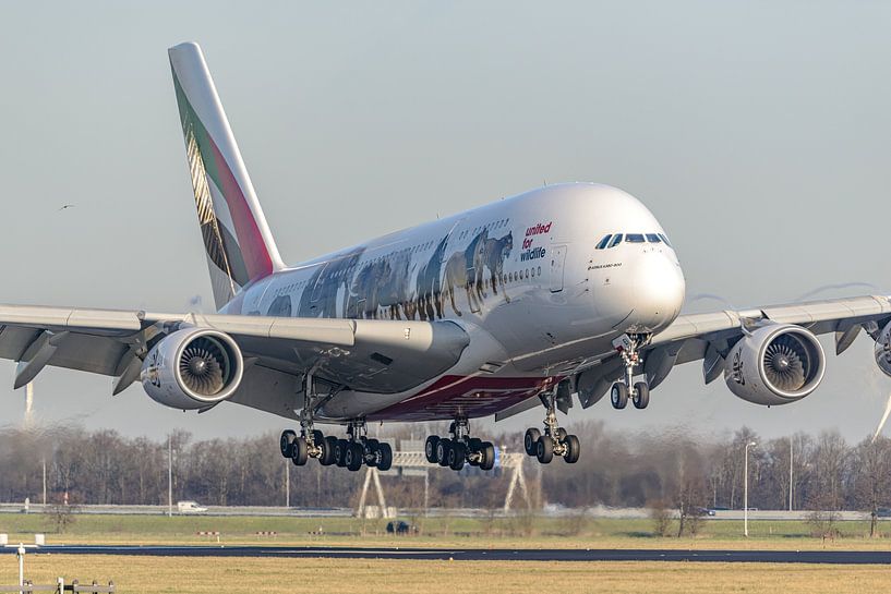 Emirates Airbus A380 with United for Wildlife livery. by Jaap van den Berg