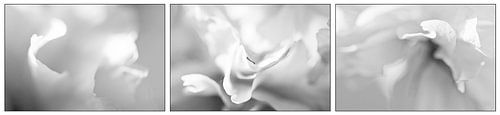 Triptych by Joost Horsten
