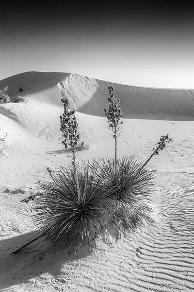 Wit Zand Indruk | Monochroom van Melanie Viola