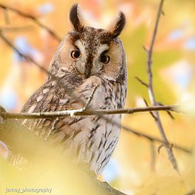 Jamey Grovell Profilfoto