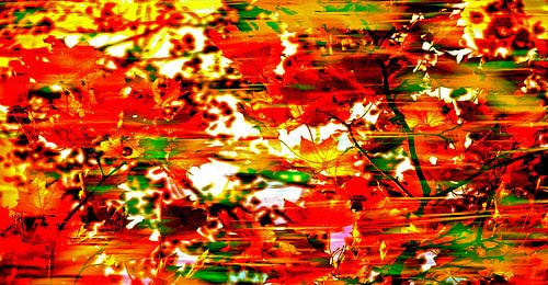 Herbstblätter im Wind