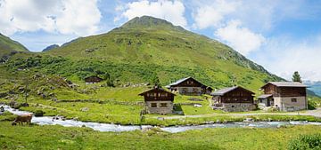 Dischma beek en hutten op de Rhin in de Dischma vallei Zwitserland van Susanne Bauernfeind