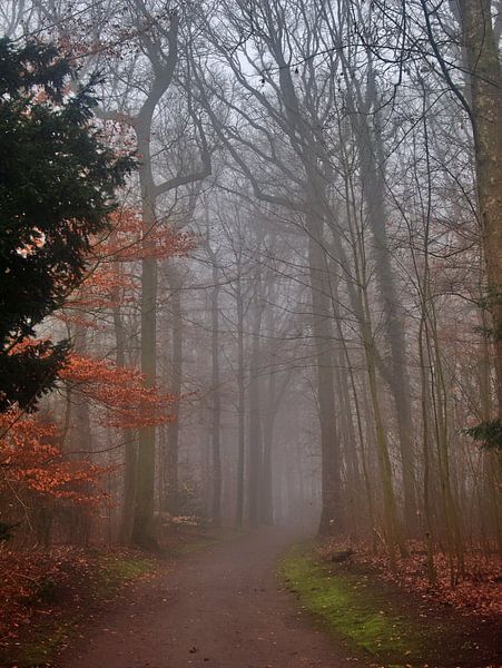 Parc d'écluses à bascule 18 par Edgar Schermaul