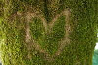 Natural Love