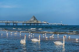 Heringsdorf Pier, Germany