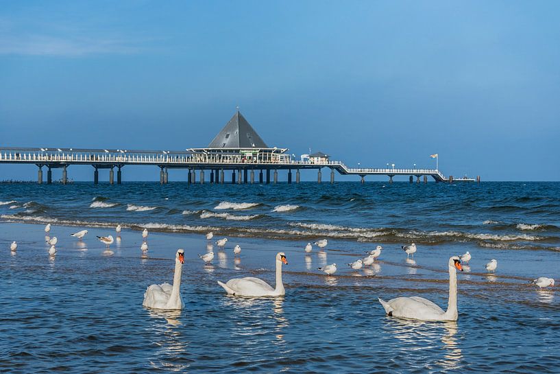 Heringsdorf Pier, Germany by Gunter Kirsch