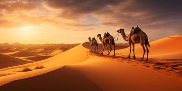 Caravan Camels in the Evening Sun by Vlindertuin Art
