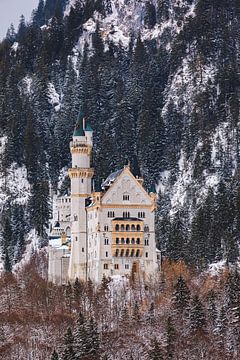 Schloss Neuschwanstein, Allgäu, Bayern, Deutschland von Henk Meijer Photography