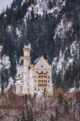 Kasteel Neuschwanstein, Allgäu, Beieren, Duitsland