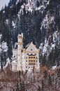 Neuschwanstein Castle, Allgäu, Bavaria, Germany by Henk Meijer Photography thumbnail