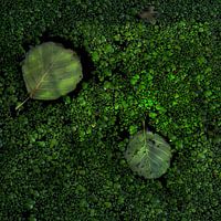 Green!