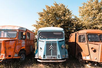 abandoned vans by Kristof Ven