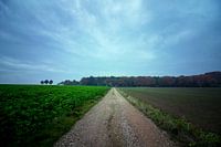 Countryside in the Netherlands