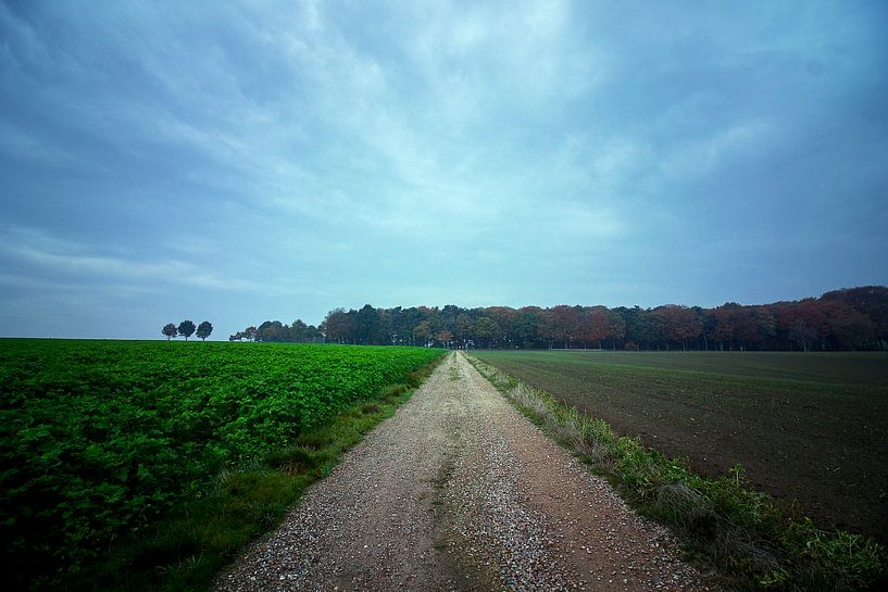 Platteland in Nederland van E Blaas