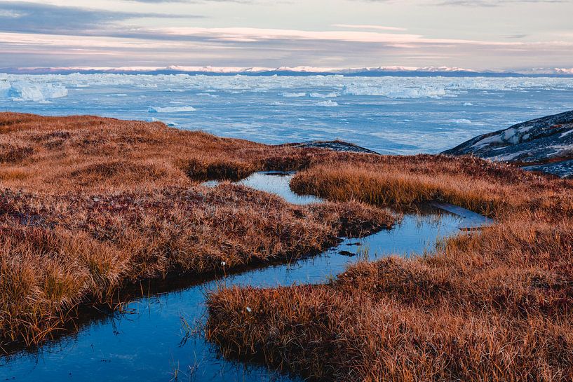 Klares Wasser, Dünenpflanzen für Bucht mit Eisschollen in Grönland von Martijn Smeets