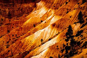 Schönheit Bryce canyon Nationalpark von Dieter Walther