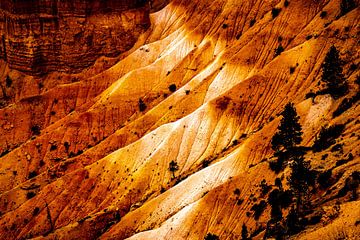 Schoonheid Bryce Canyon National Park van Dieter Walther