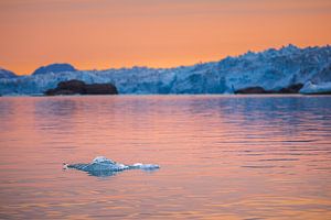 Sonnenuntergang am Upernavik-Gletscher, Grönland