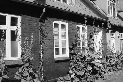 Aarhus Danemark noirblanc