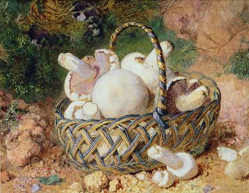 jabez bligh~Un panier de champignons