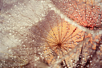 magic drops....