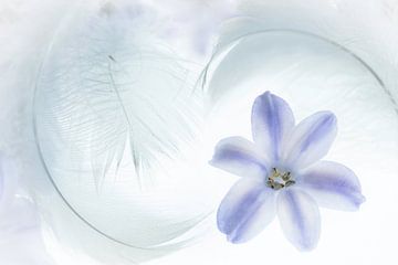 Zachte veren met tere bloem van Greetje van Son