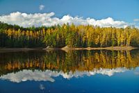 Autumn reflections