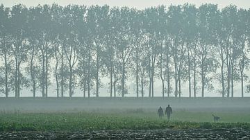 Mistige ochtend met twee wandelaars met hond in de Zeeuwse polder